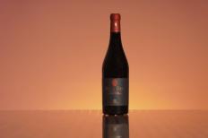 Palari - Etna Rosso Rocca Coeli 2016 (750)