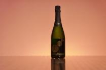 Ricci Curbastro - Franciacorta Zero Dosage Gualberto 2013 (750ml) (750ml)