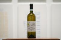 G.B. Burlotto - Dives 2020 (750ml) (750ml)