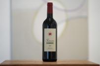 Tenuta del Terriccio - Toscana Tassinaia 2019 (750ml) (750ml)