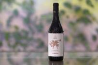 Tenuta Cucco - Langhe Nebbiolo 2022 (750ml) (750ml)