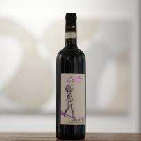 Viotti - Barbera Ca Nova 2021 (750ml) (750ml)