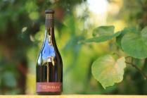 Turley - Zinfandel California Juvenile 2004 (750ml) (750ml)