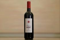 Tenuta del Terriccio - Lupicaia 2010 (750ml) (750ml)