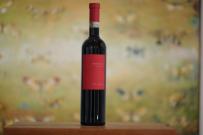 Plozza - Valtellina Superiore Sassella 2017 (750ml) (750ml)